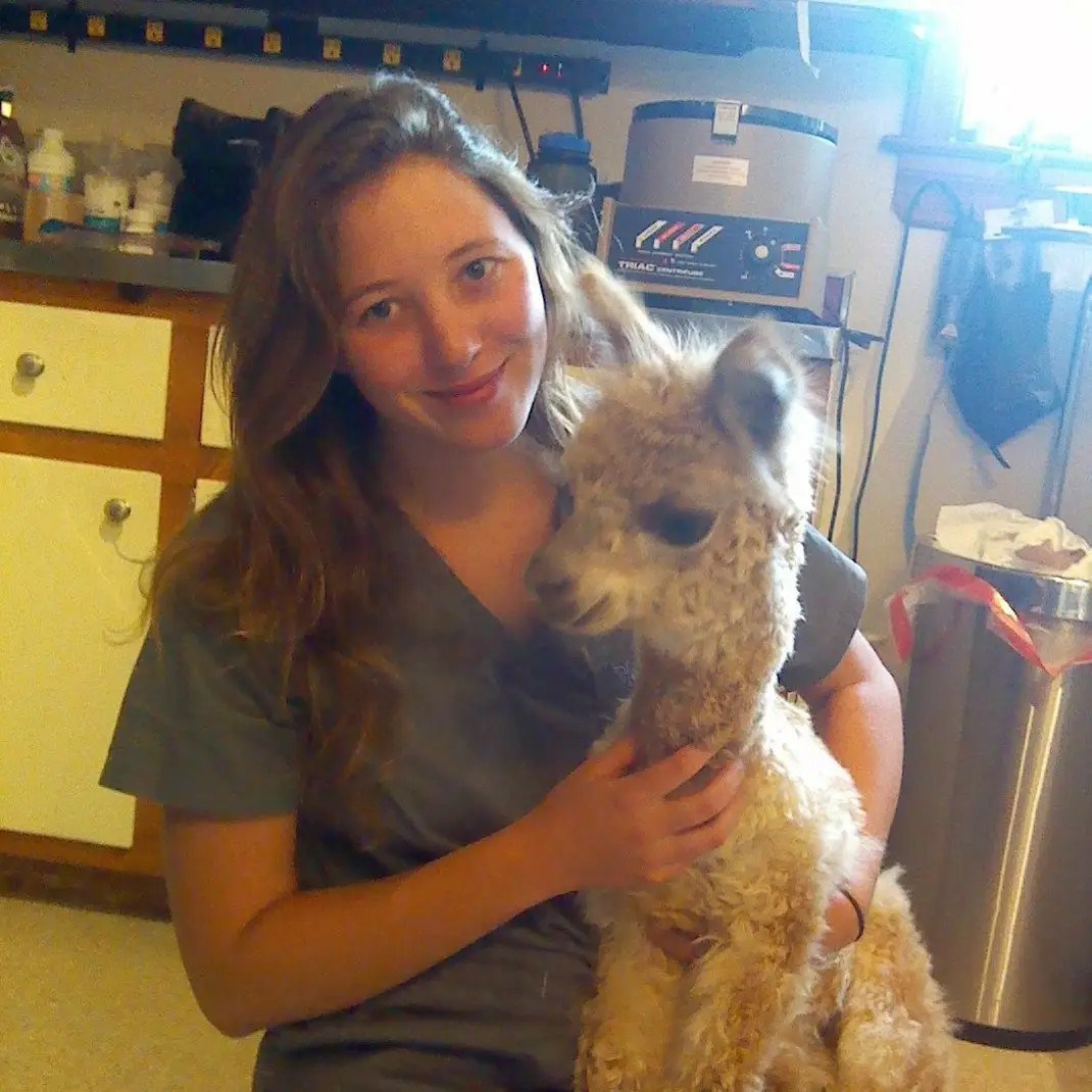 Erin LVT Country Care Veterinary Center